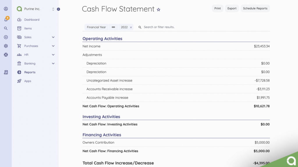 Web-based accounting software cash flow statement