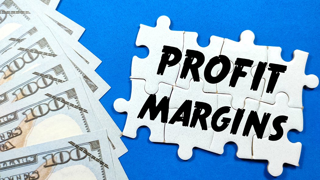 What Is Net Profit Margin Example