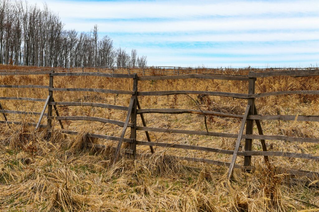 Land for starting a farm