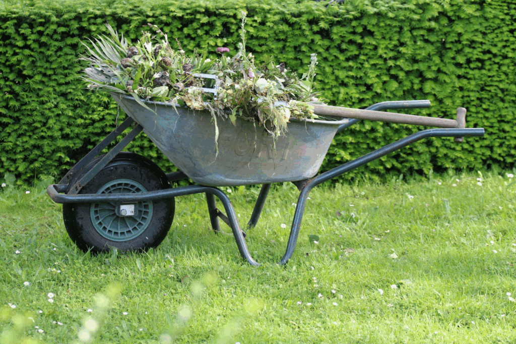 Small Gardening Business