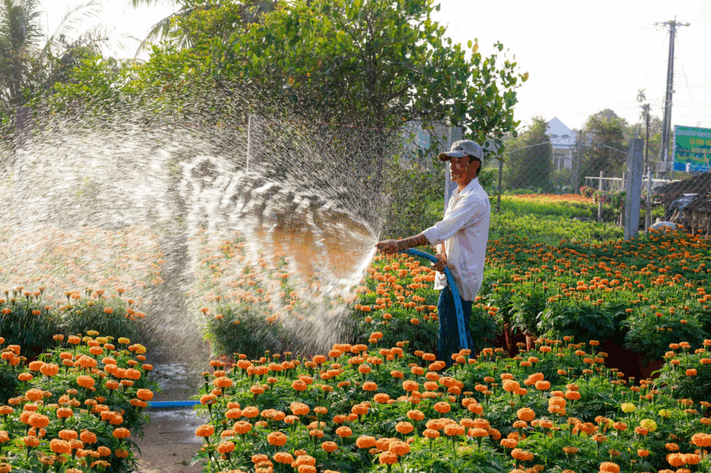 Gardener tending to plants
