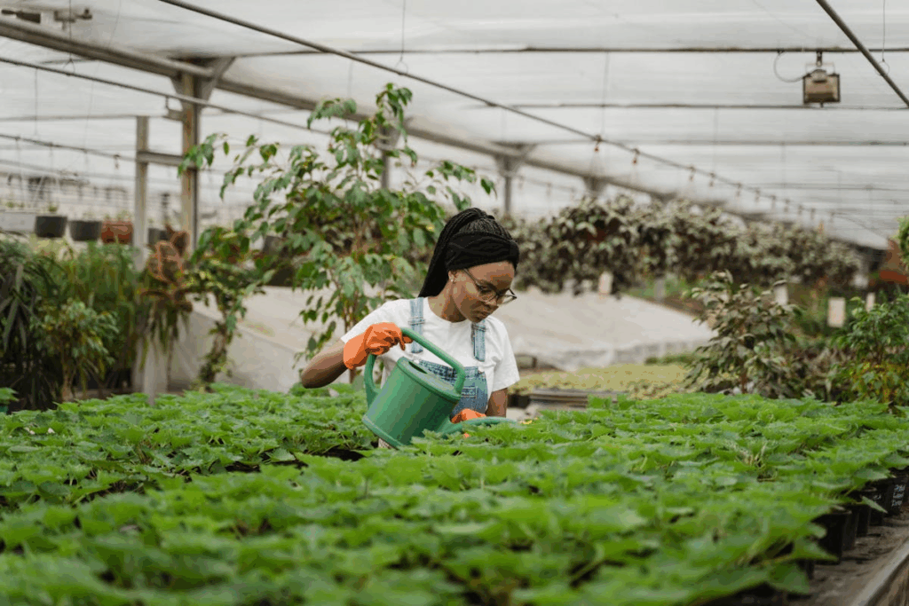 Tips for Growing a Successful Garden Business