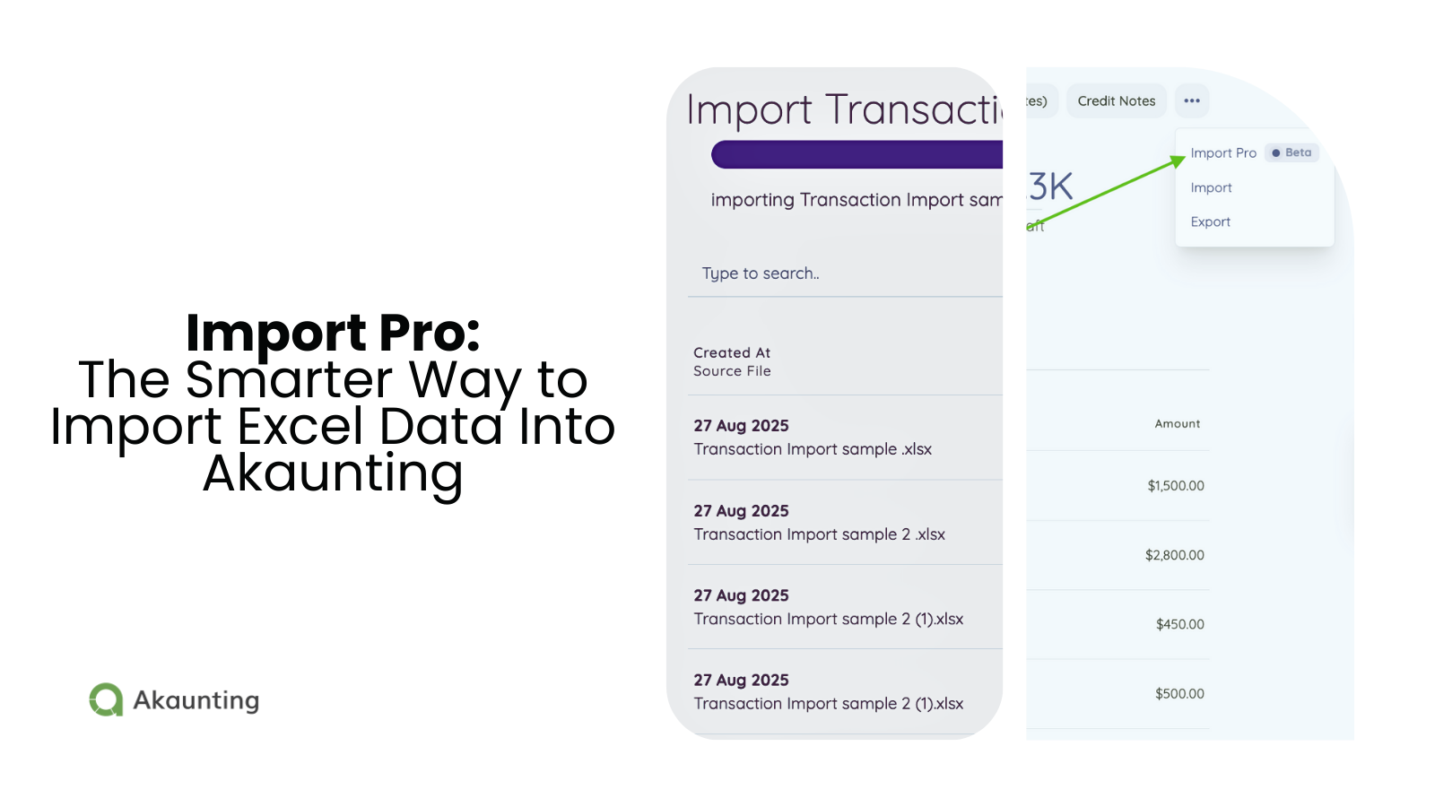 Import Pro: The Smarter Way to Import Excel Data Into Akaunting