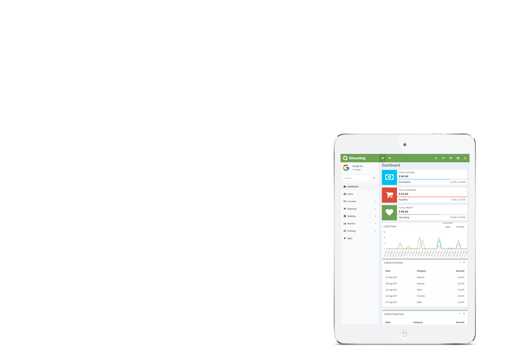 accounting ipad